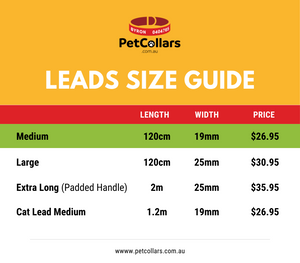 DOG COLLARS Australia & LEAD, Wide Small - Bundle