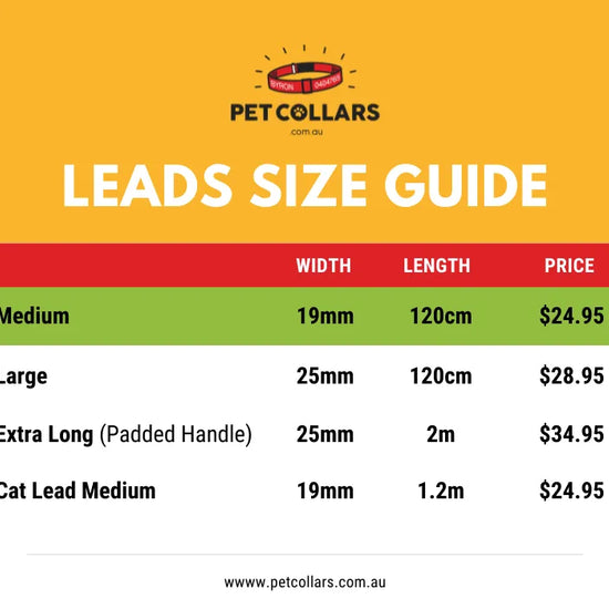 custom pet lead size guide