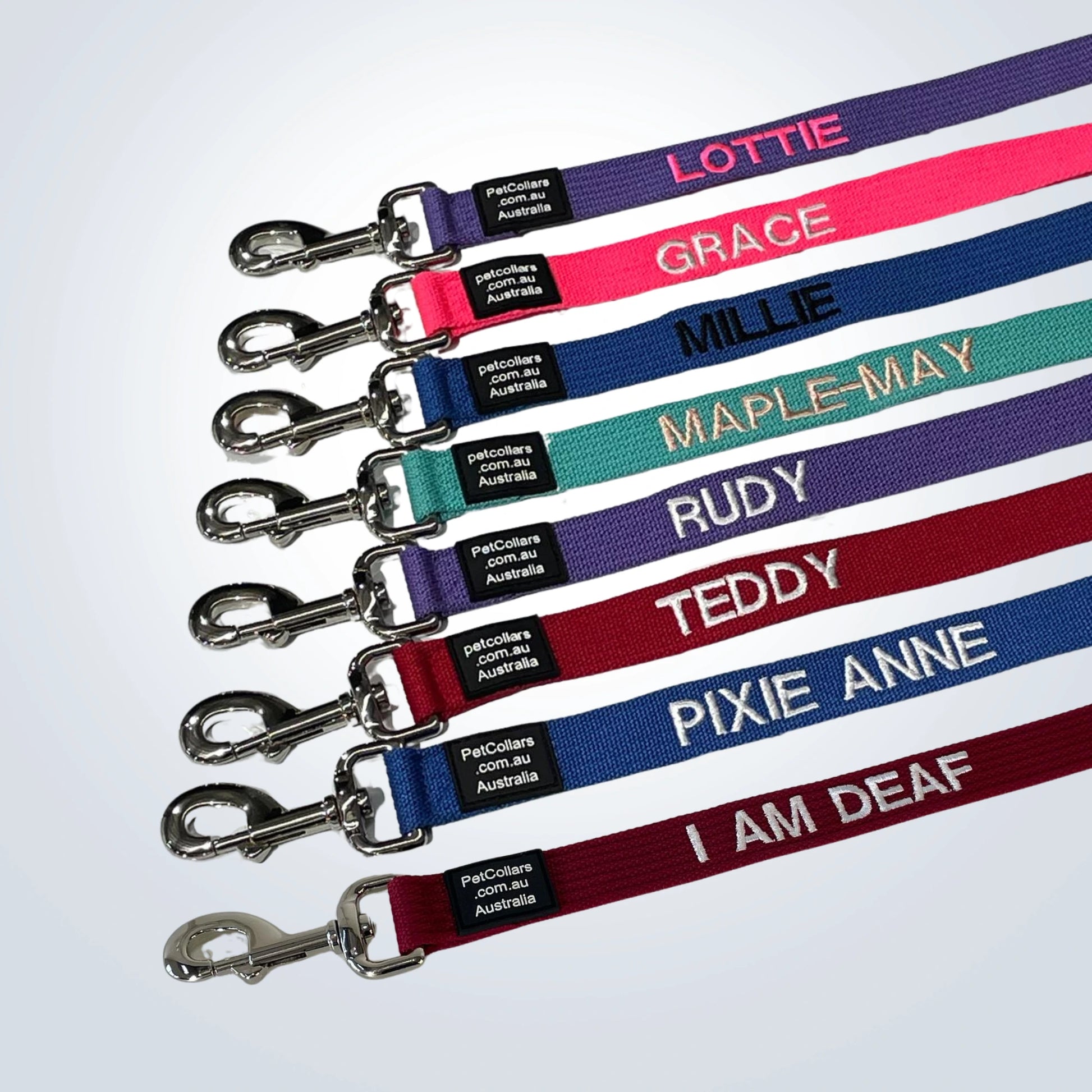 custom pet lead