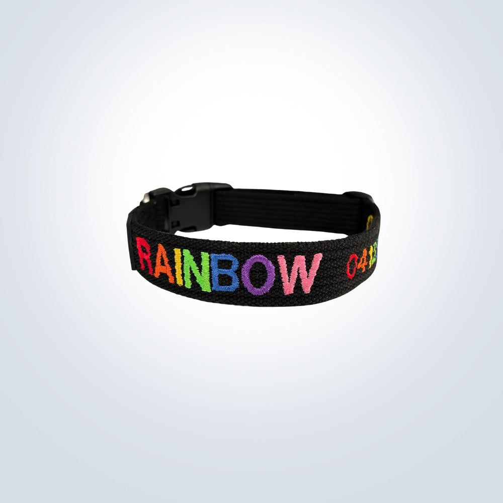 rainbow embroidered pet collar