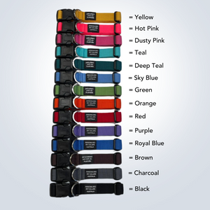 DOG COLLARS With Name and Phone Number, Medium - Embroidered