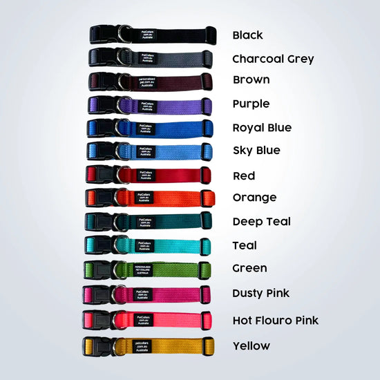 personalised pet collars