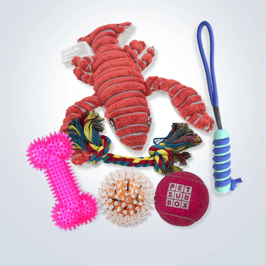Medium Dogs Toy Bargain Bundle