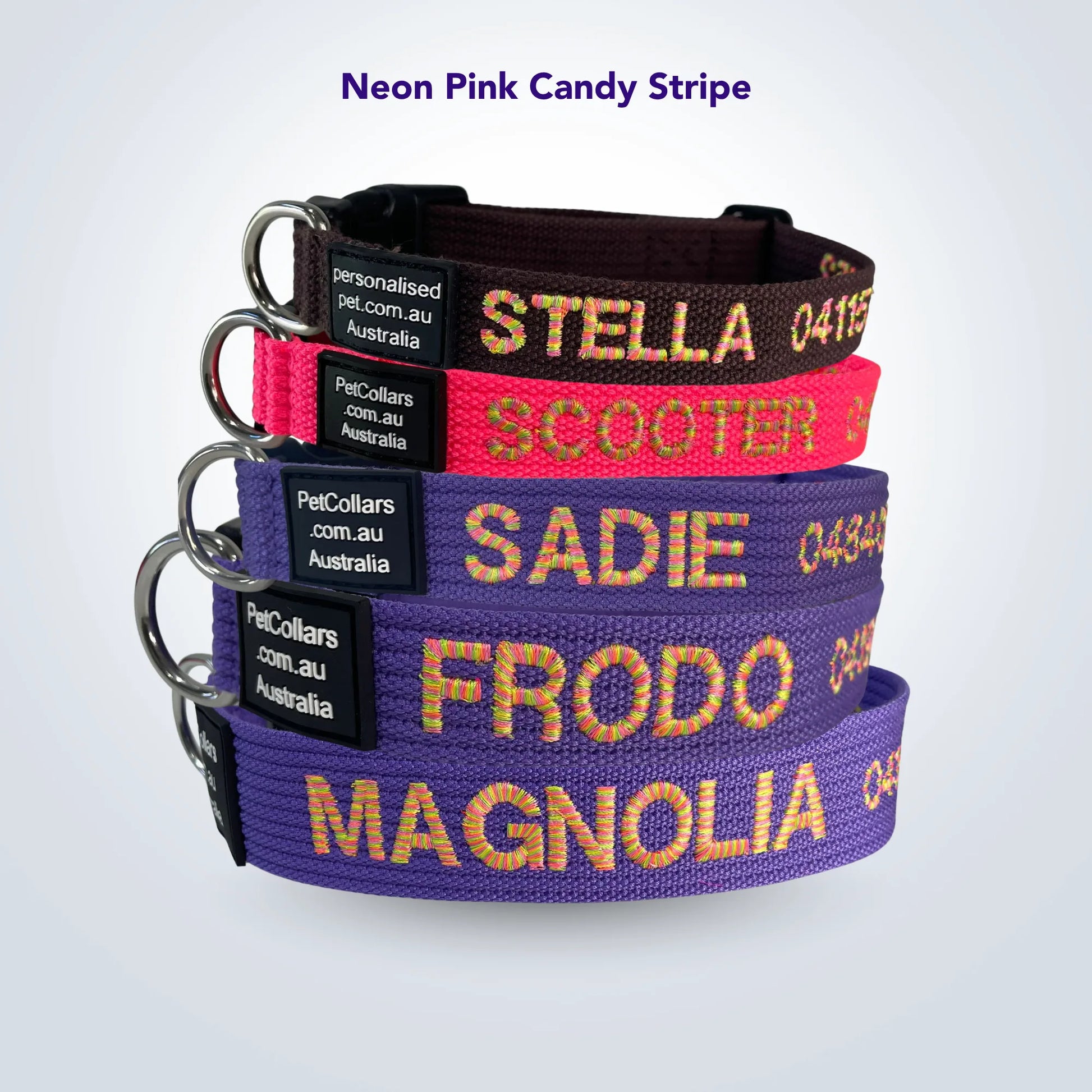 Embroidered pet collar in candy stripe thread colours