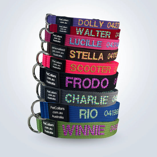 Personalised dog collar with candy stripe embroidery
