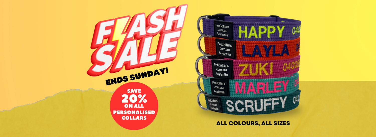 PetCollars.com.au