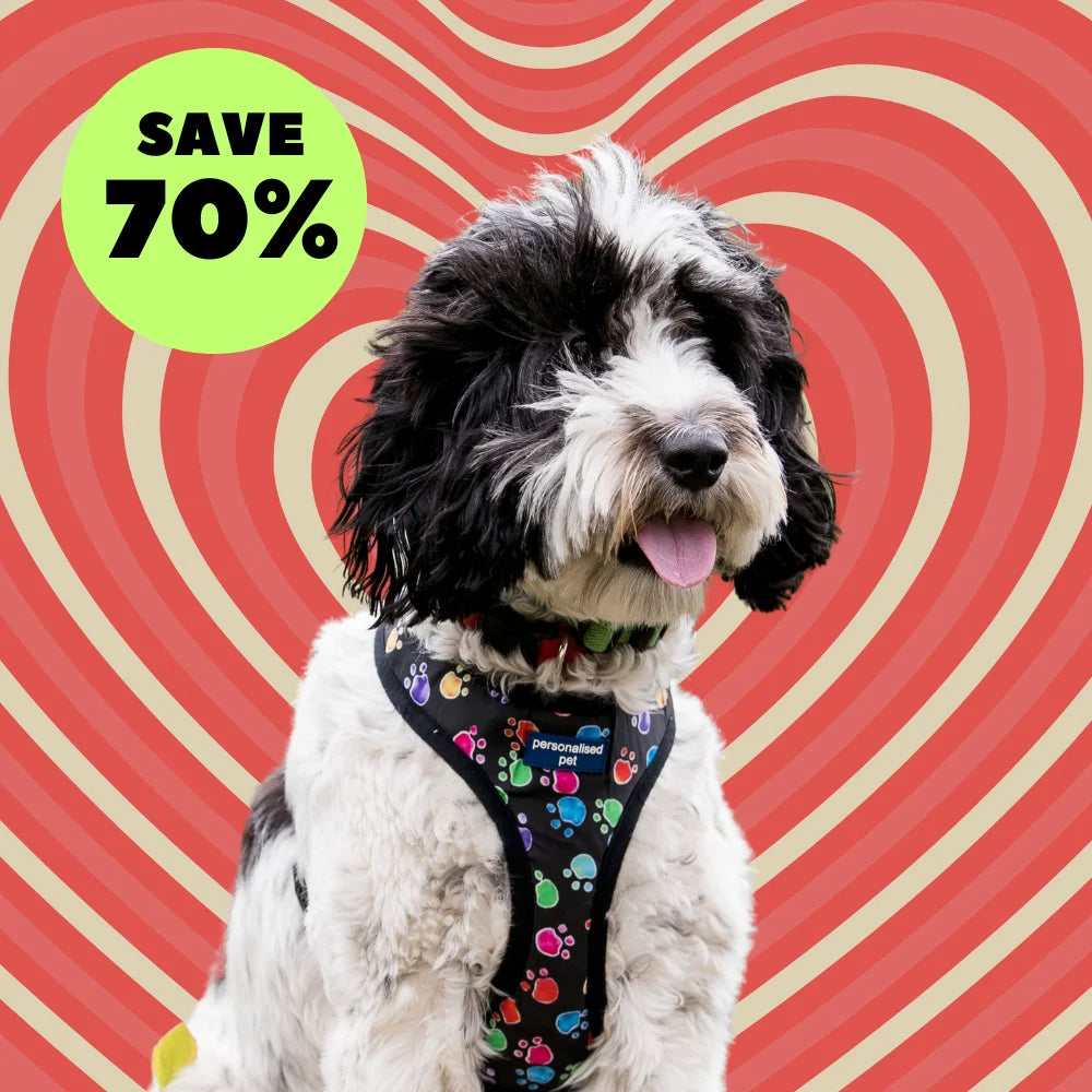 Soft Pet Harnesses