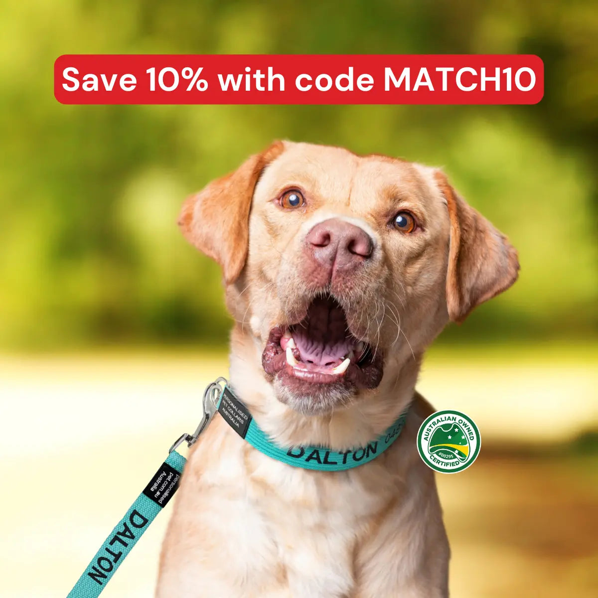 Featured promotional banner showcasing premium pet accessories for fashion-forward pets