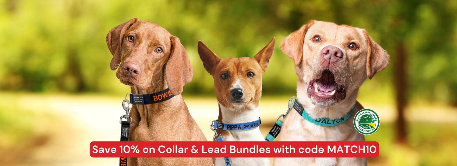 PetCollars.com.au