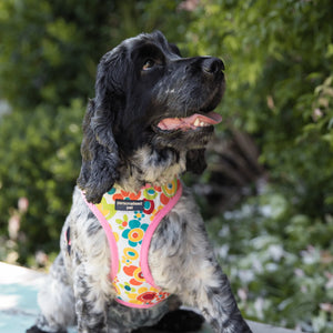 dog harness with name