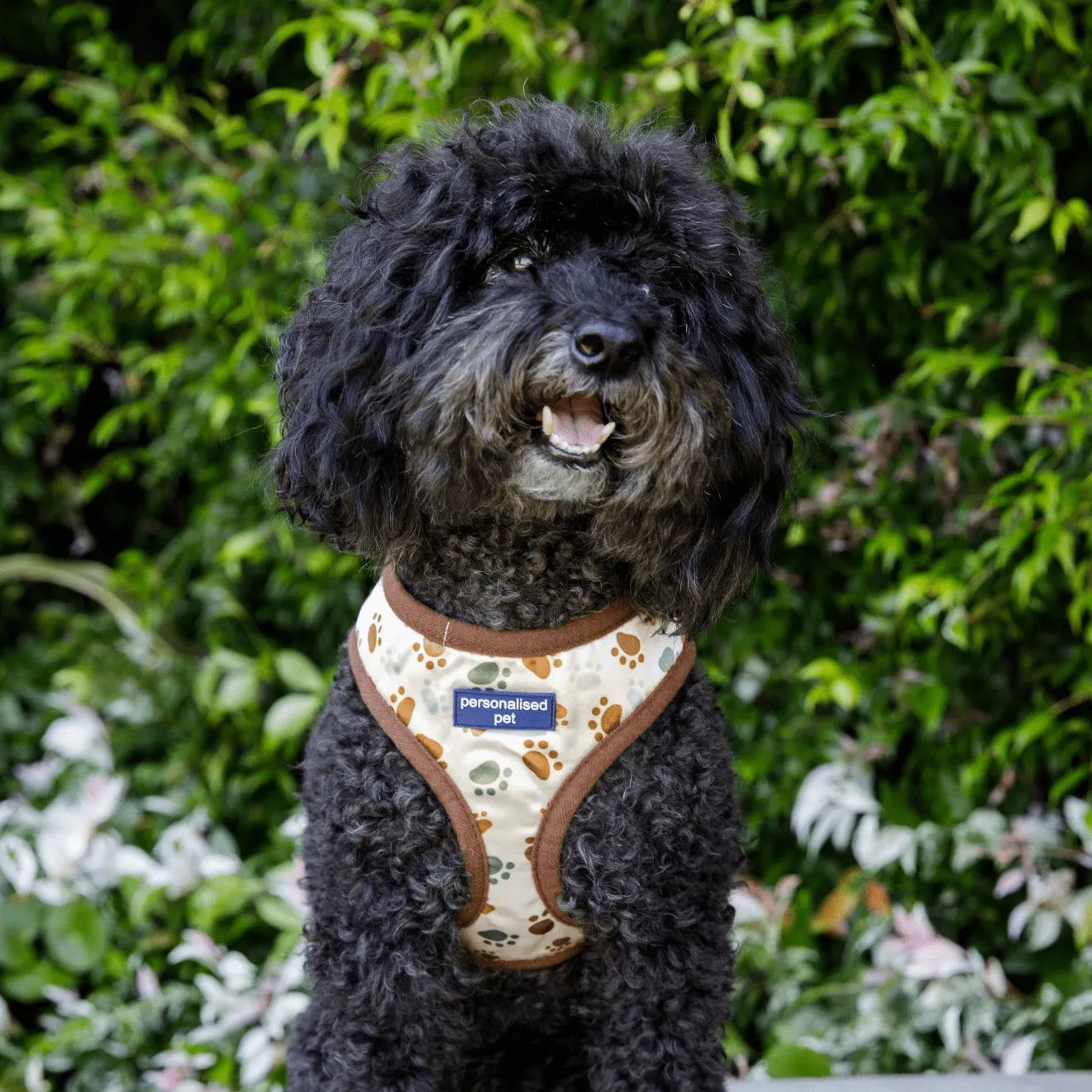PET HARNESS Paw Print Embroidered