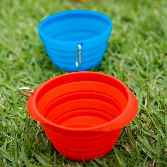 collapsible pet bowl