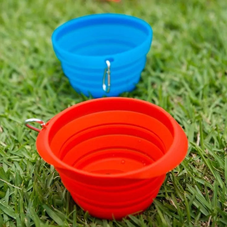 collapsible pet bowl