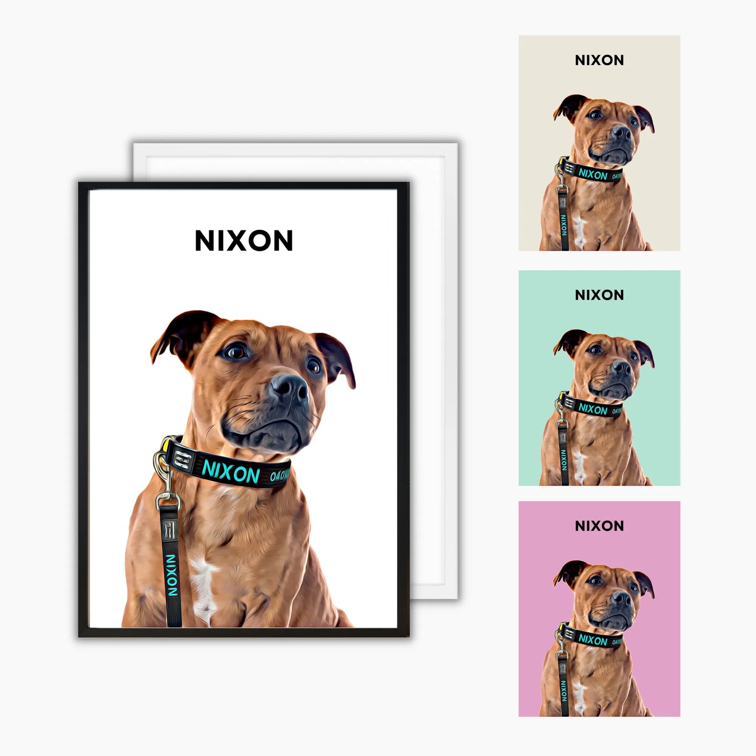 Pet Portraits