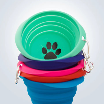 large collapsible dog bowl