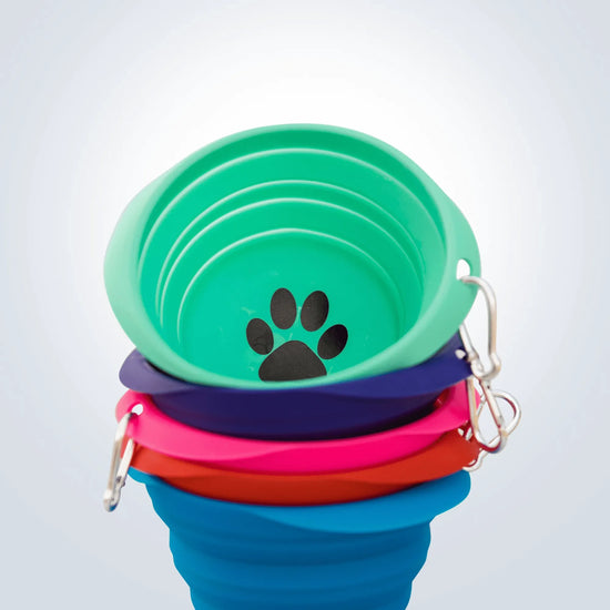 collapsible pet bowl