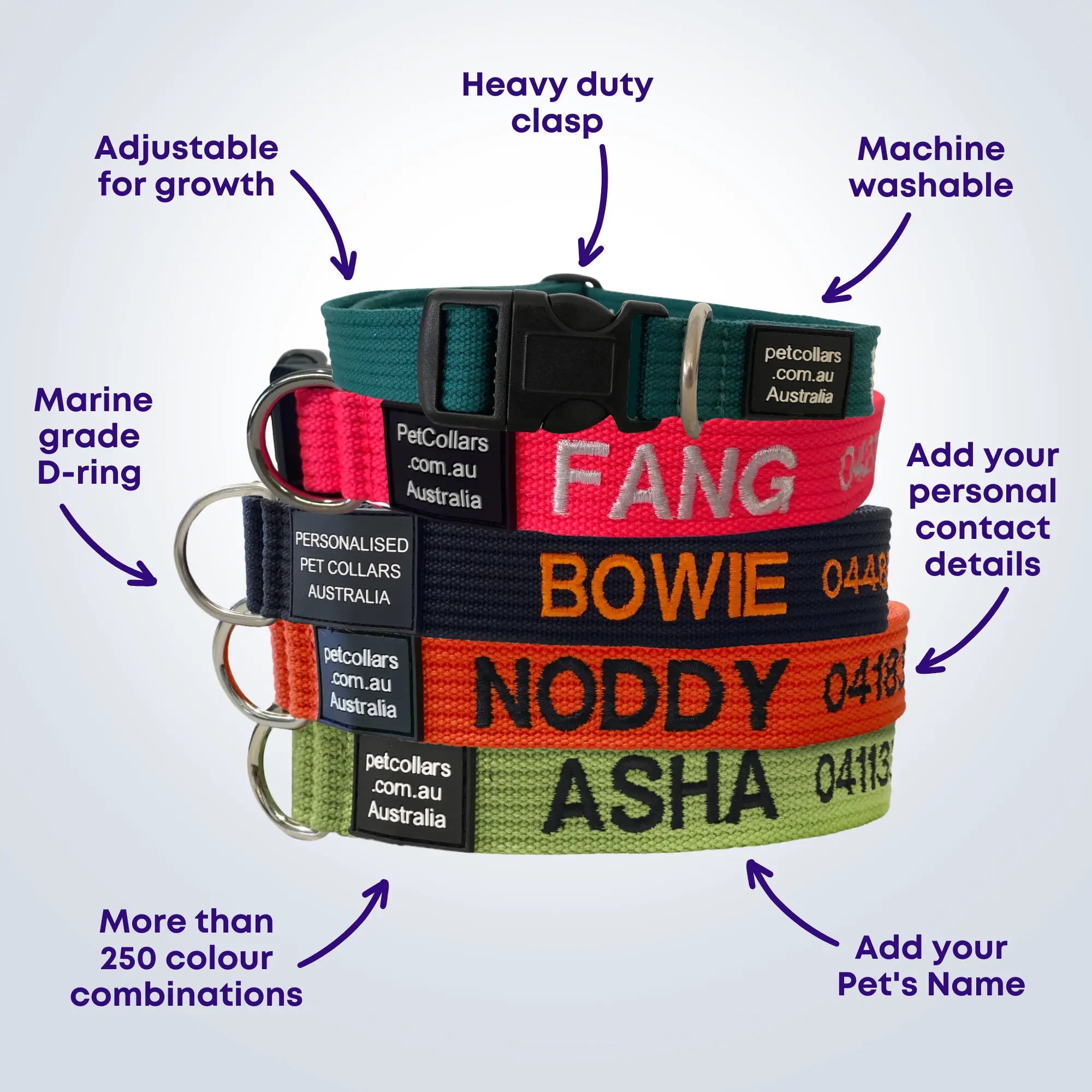 An embroidered dog collar with name showing the heavy duty clasp, marine grade D-ring and stitched-in name and contact details