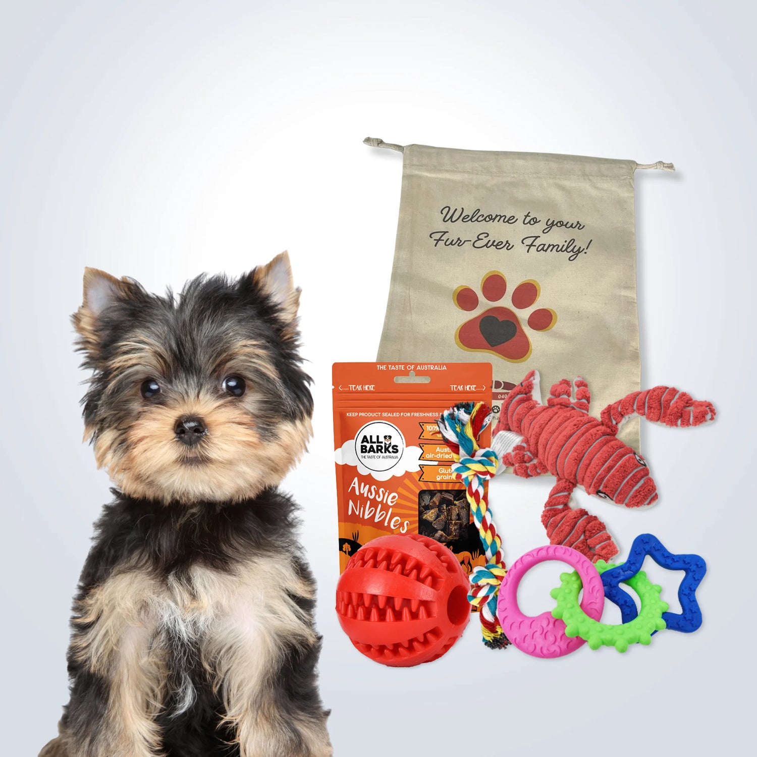 Puppy Welcome Home Gift Sets
