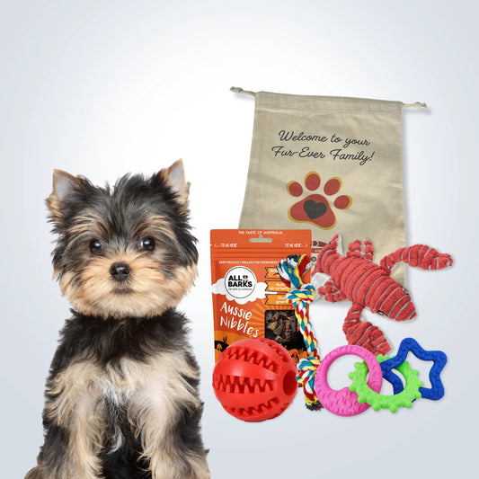 Puppy Welcome Home Gift Set - Small