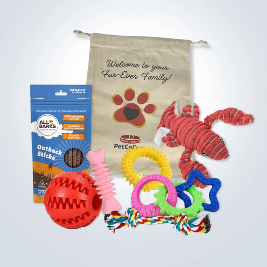 Puppy Welcome Home Gift Set - Large