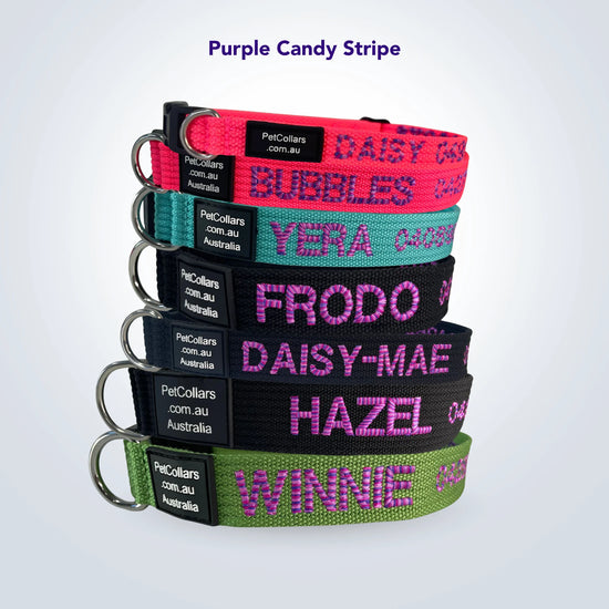 Dog collar with name in candy stripe embroidery thread