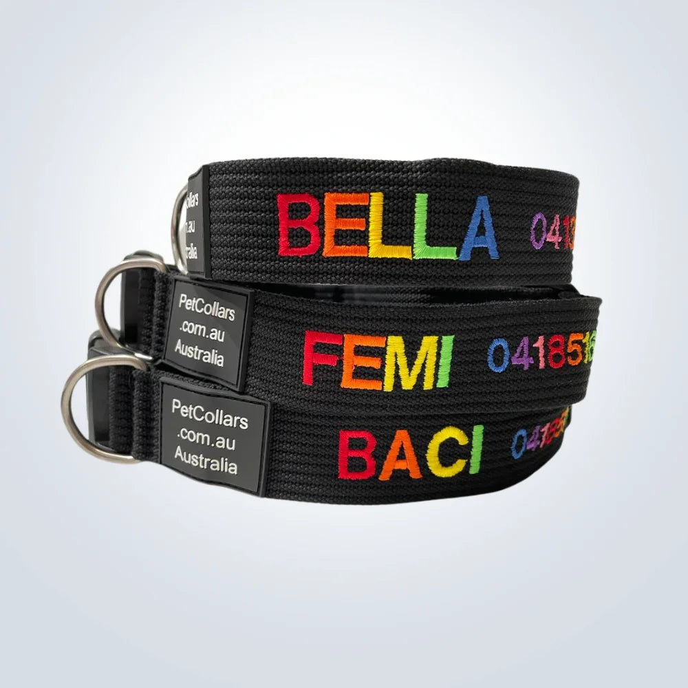 rainbow embroidered pet collar