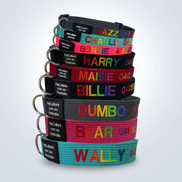 Limited Edition Rainbow Collar