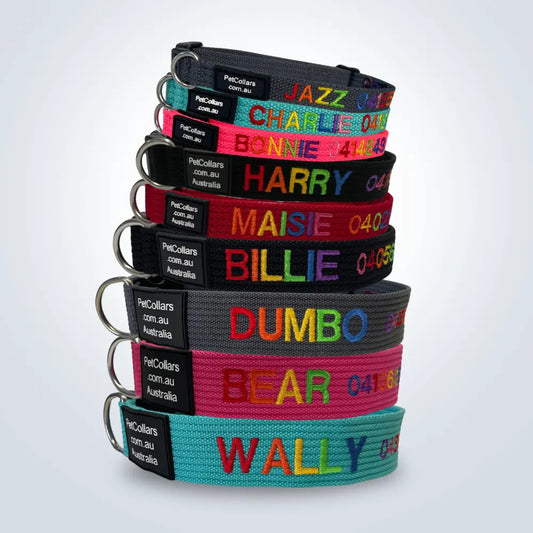 Limited Edition Rainbow Collar