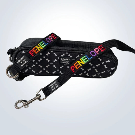 rainbow embroidered pet collar and lead