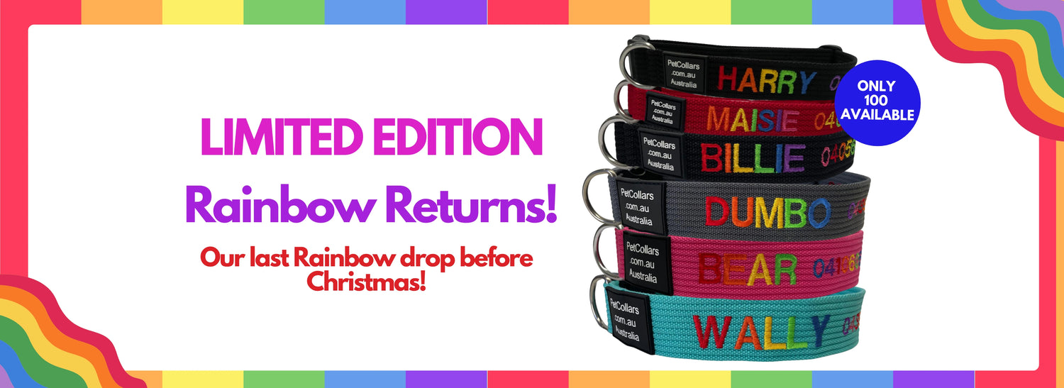 PetCollars.com.au