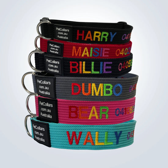 Rainbow Embroidered Collars