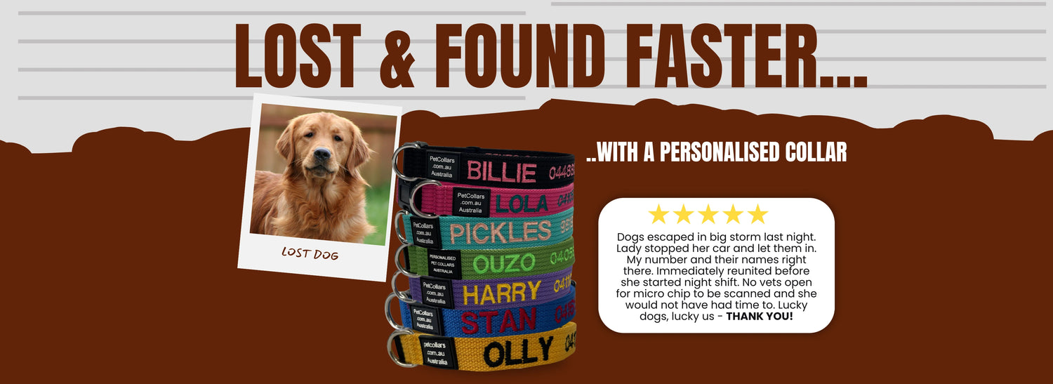 PetCollars.com.au