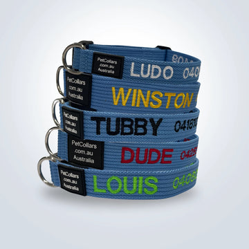 Custom sky blue pet collars stacked together on a light gray background.