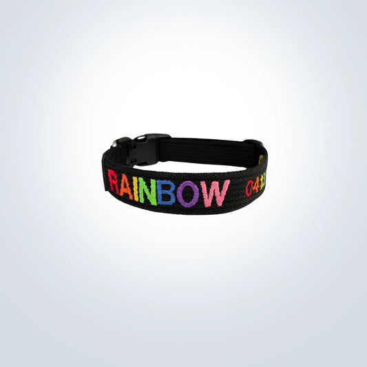 rainbow embroidered pet collar