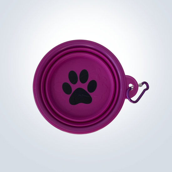 Collapsible Dog Bowl