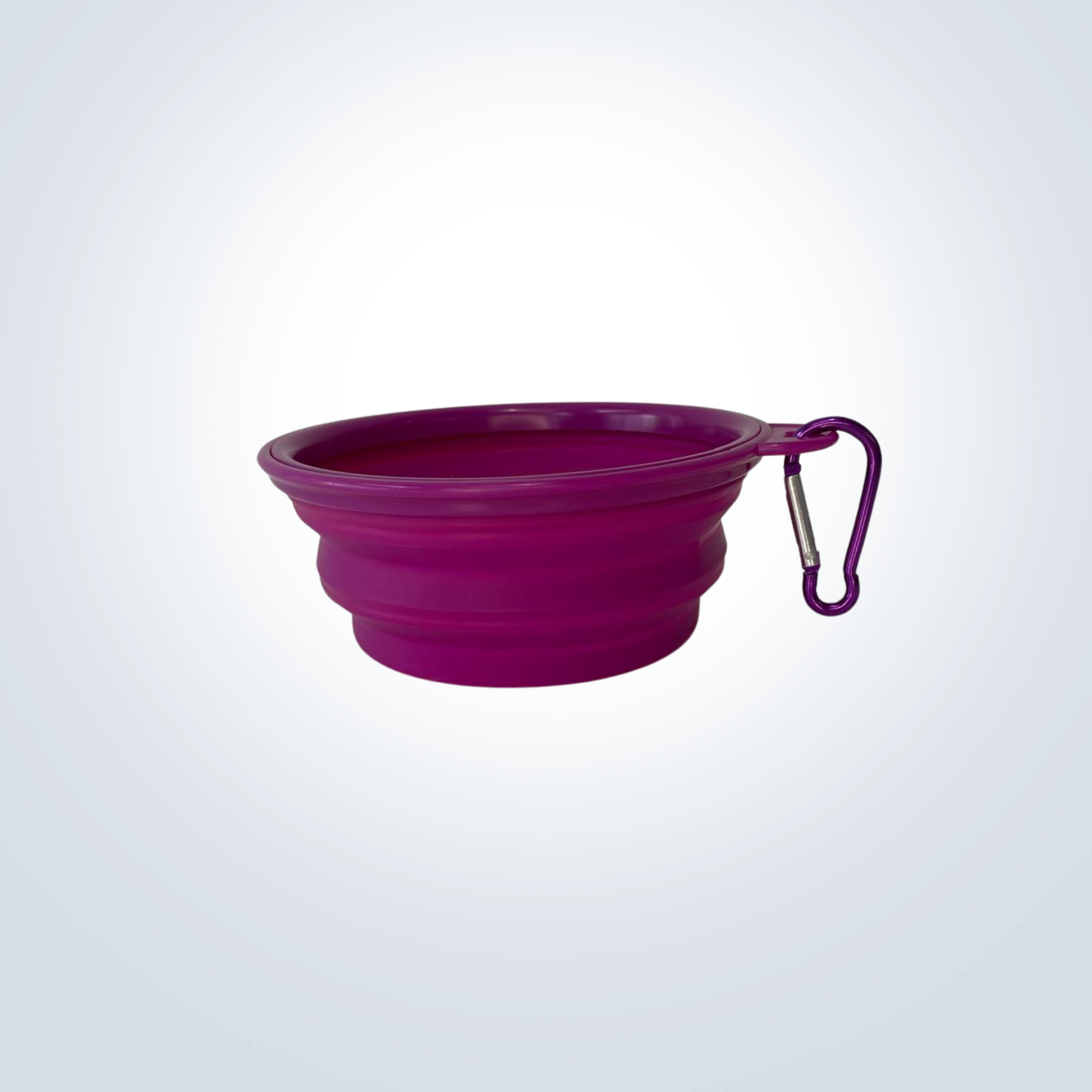 Small Collapsible Dog Bowl