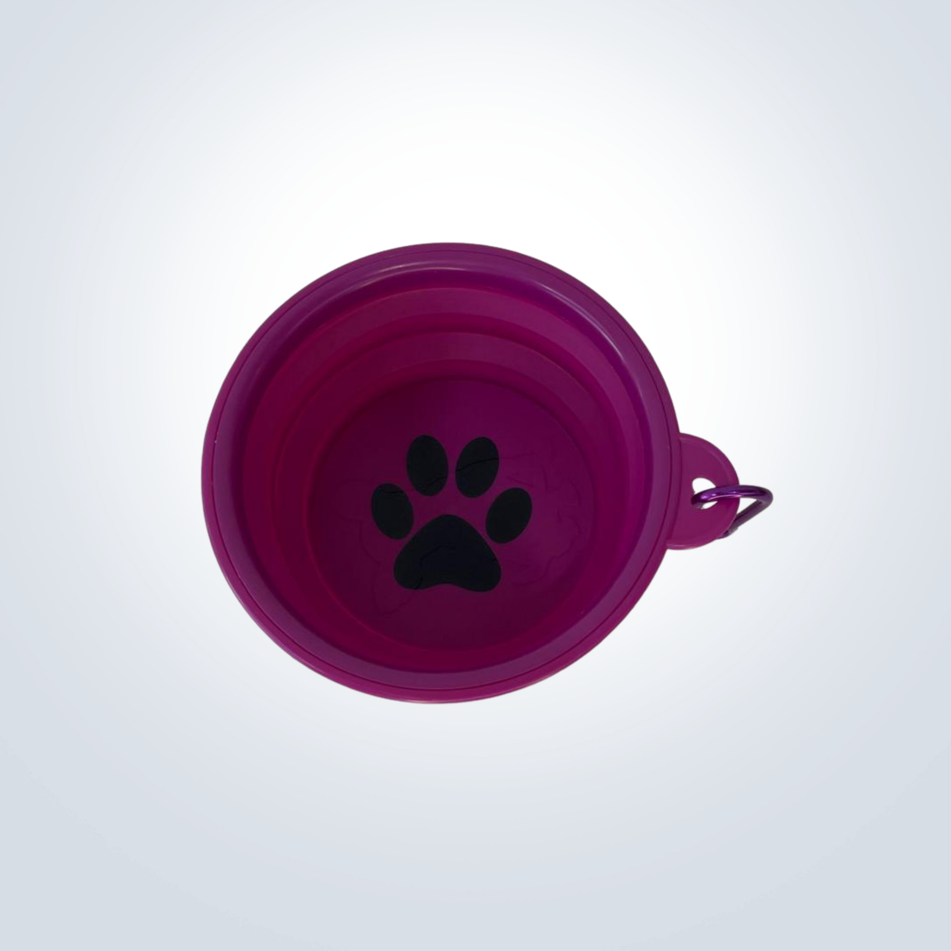 Collapsible Dog Bowl