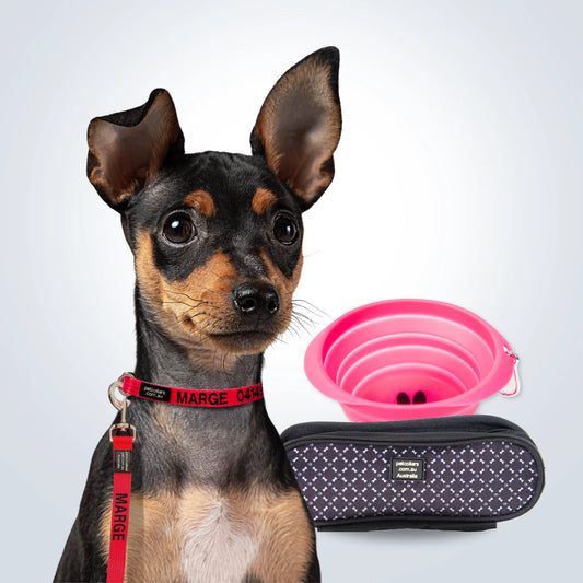 personalised pet walking bundle small