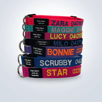 custom collar with name and phone number