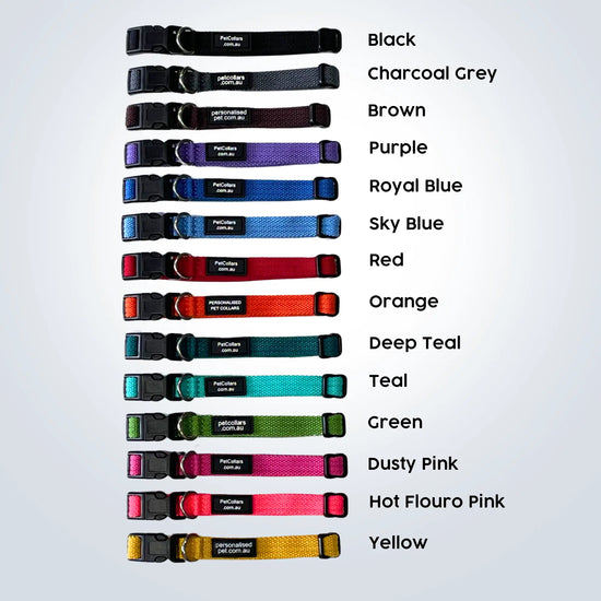 personalised pet collars