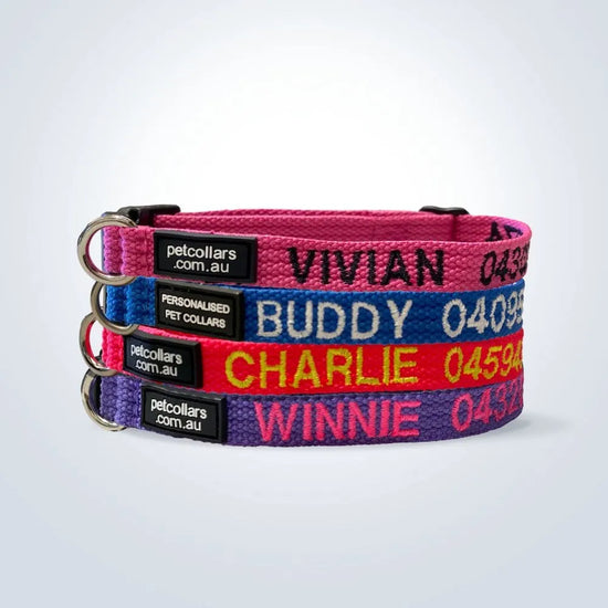 pet collar with name