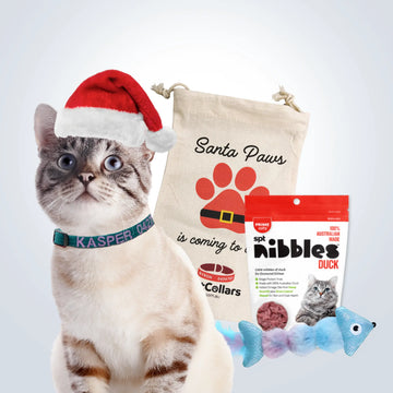 Cat Christmas Gift Set