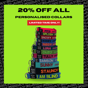 This Week’s Deal: 20% Off Personalised Collars