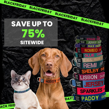 This Week’s Deal: Save up to 75% Storewide