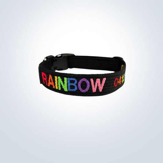 rainbow embroidered pet collar