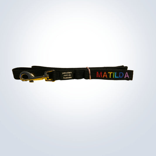 rainbow embroidered pet lead