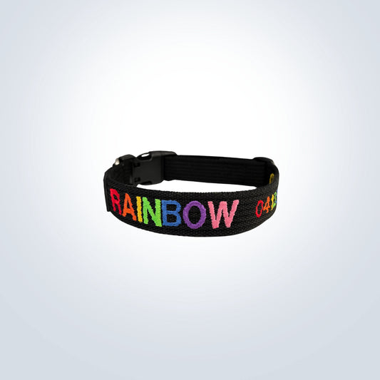 rainbow embroidered pet collar