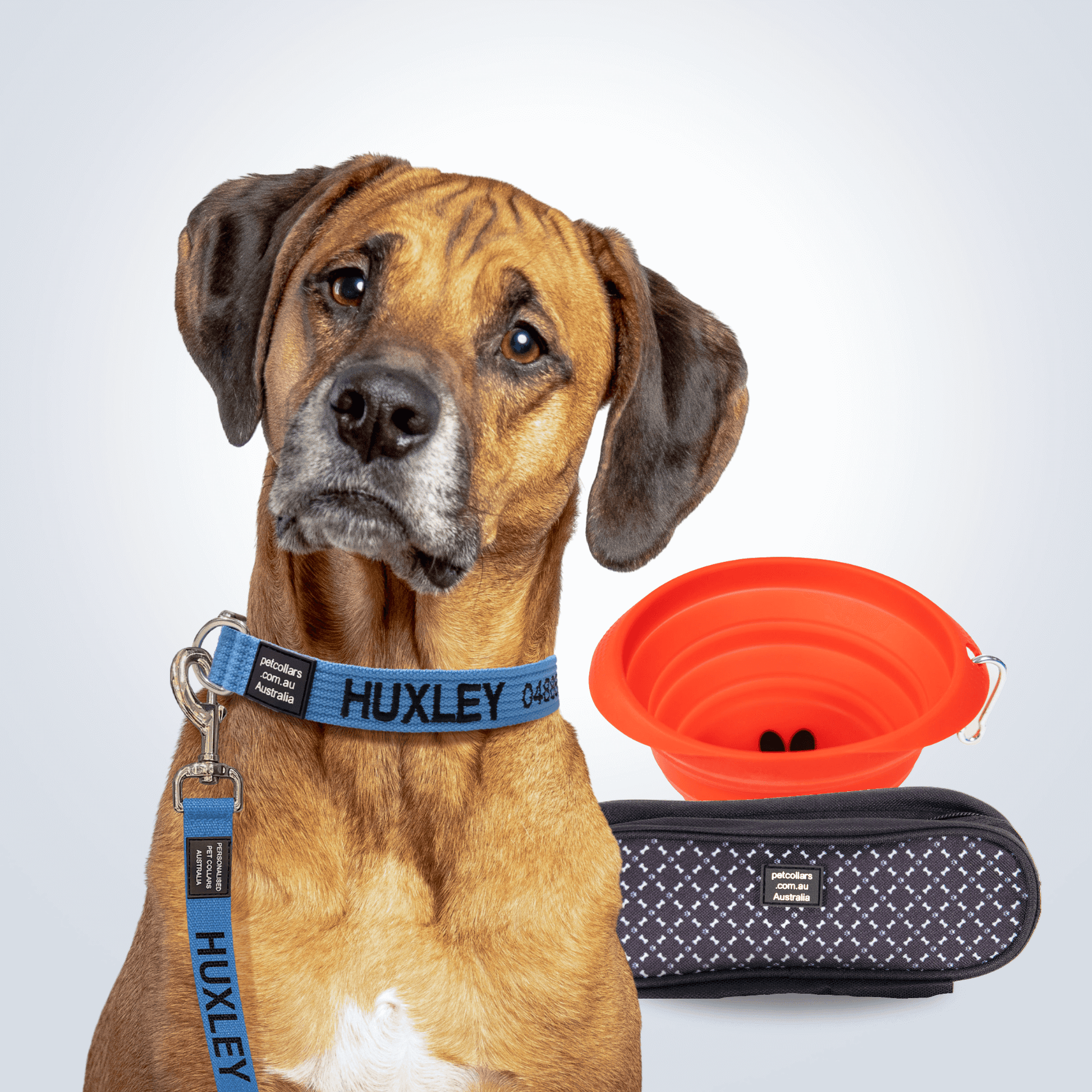 Walking Super Bundle Wide Large - Main Image