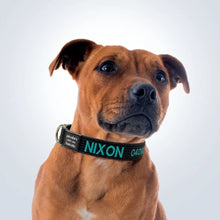 Load image into Gallery viewer, personalised pet collar - the Best Dog Collars