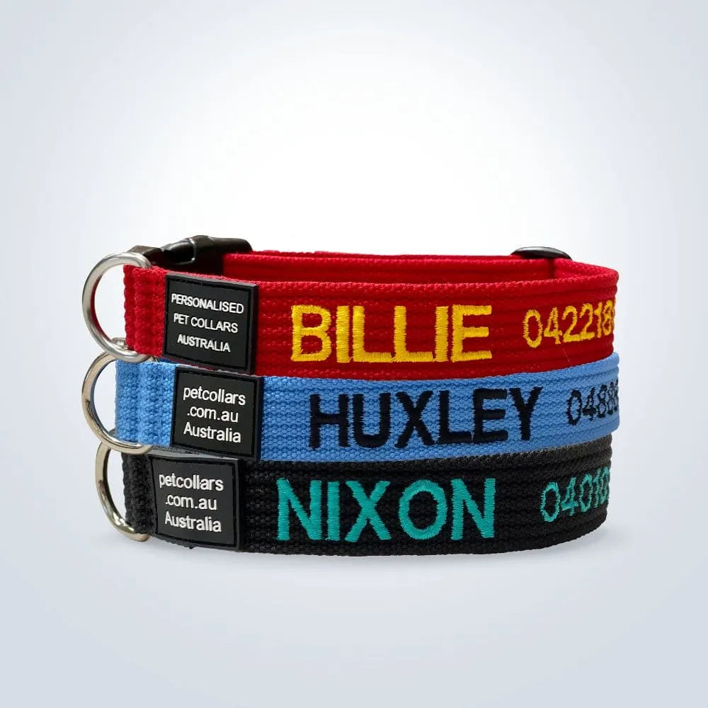 pet collar with name